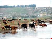 روستای اولتان