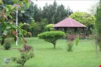 روستای اولتان