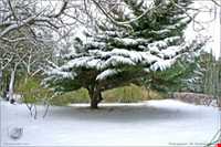 روستای اولتان