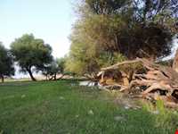 روستای اولتان