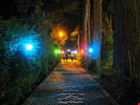 باغ شوکت آباد