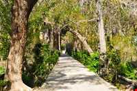 باغ شوکت آباد