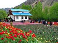 باغ گل روستای گرماب