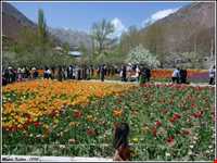 باغ گل روستای گرماب