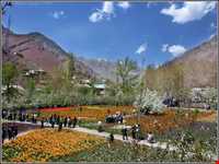 باغ گل روستای گرماب