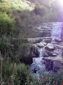 روستای واران جاسب