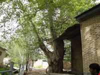 روستای واران جاسب