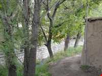 روستای واران جاسب