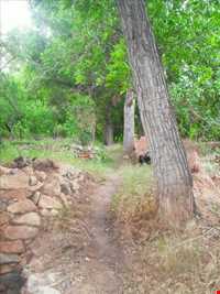 روستای واران جاسب
