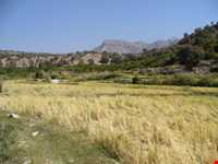 آبشار کوهمره سرخی