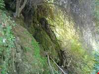 آبشار کوهمره سرخی