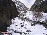 امامزاده داوود