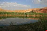 ambulant isle chamli