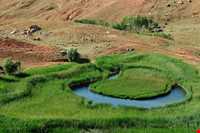 ambulant isle chamli