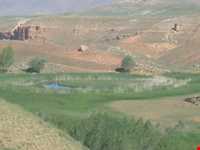 ambulant isle chamli