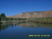 ambulant isle chamli