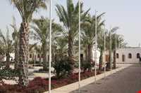 موزه رئیسعلی دلواری