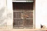 موزه رئیسعلی دلواری