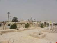 موزه رئیسعلی دلواری