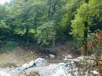 آبشارهای شیرآباد