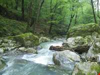 آبشارهای شیرآباد