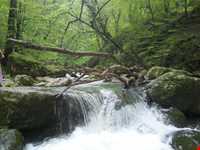 آبشارهای شیرآباد