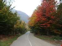 آبشارهای شیرآباد