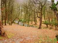 آبشارهای شیرآباد