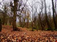 آبشارهای شیرآباد