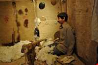 موزه تربت حیدریه