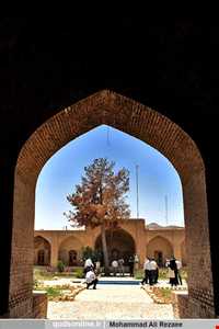 موزه تربت حیدریه