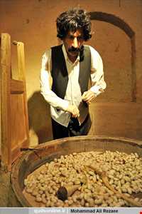 موزه تربت حیدریه