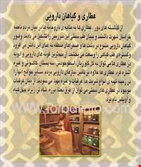 موزه تربت حیدریه