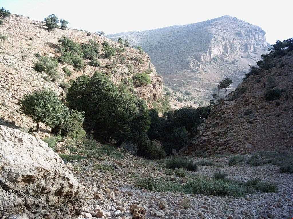 آبشار چیکان