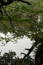 تالاب فراخین