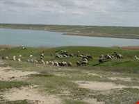 تالاب آلاگل