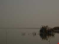 تالاب آلاگل