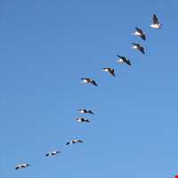 تالاب آلاگل