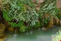 Waterfall Bibi Siydan