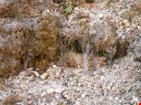 روستای دراسله