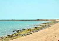 Gorm island ( ommalkorm )