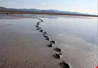 Kaji Namakzar wetland