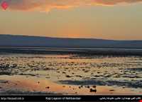 Kaji Namakzar wetland