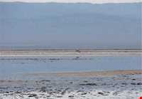 Kaji Namakzar wetland