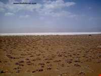 Kaji Namakzar wetland