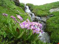Soleh dokl Waterfall