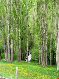 روستای چشمه ملک