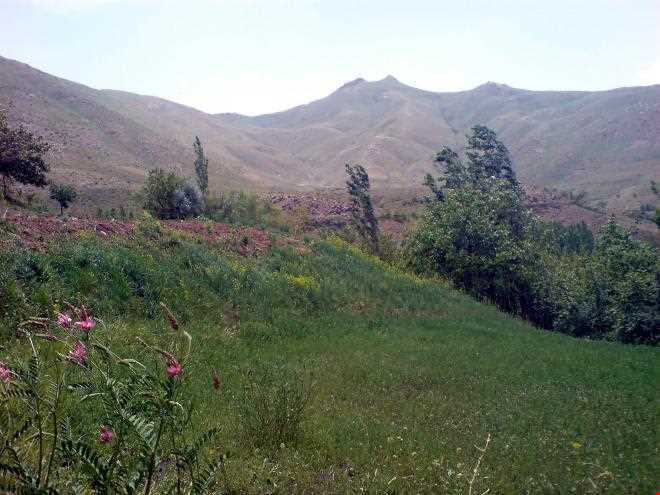 کوه سراج‌الدین