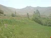 کوه سراج‌الدین