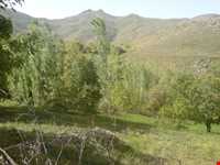 کوه سراج‌الدین